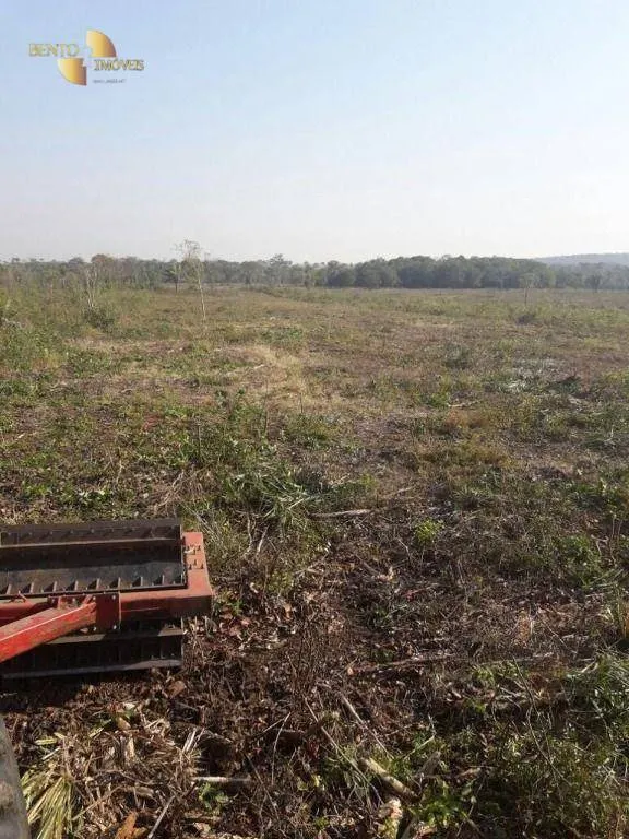 Fazenda à venda de 1.300 ha em Diamantino, MT, Brasil