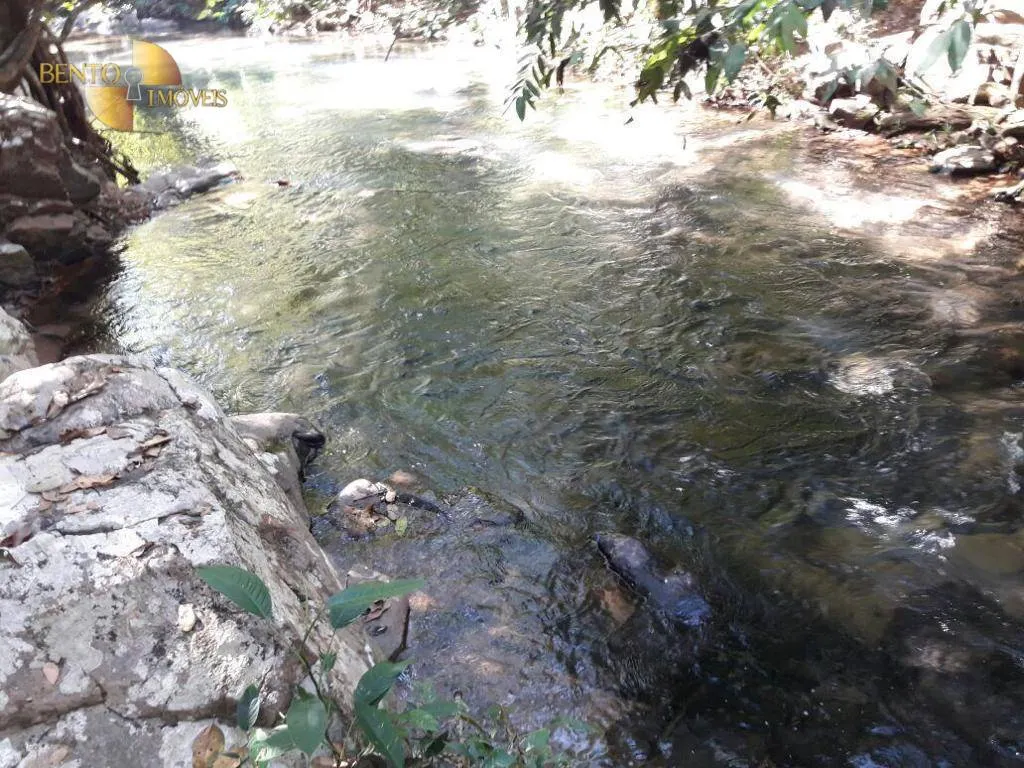 Fazenda à venda de 1.300 ha em Diamantino, MT, Brasil