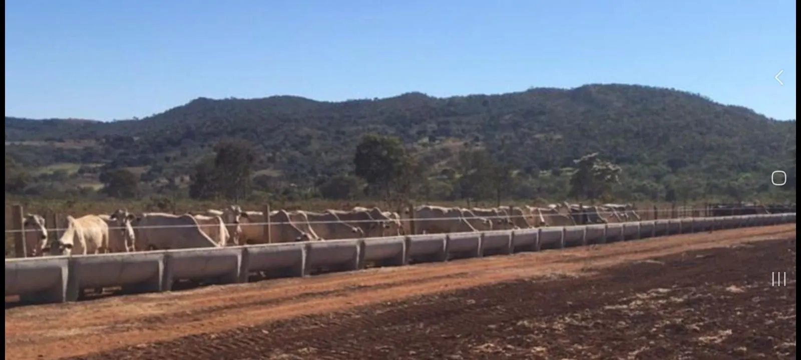Fazenda à venda de 237 ha em Niquelândia, GO, Brasil