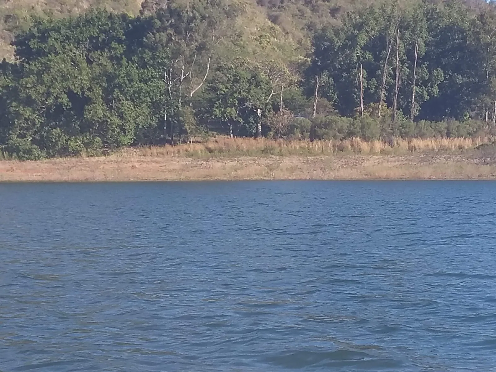 Ilha à venda de 61 ha em Timburi, SP, Brasil