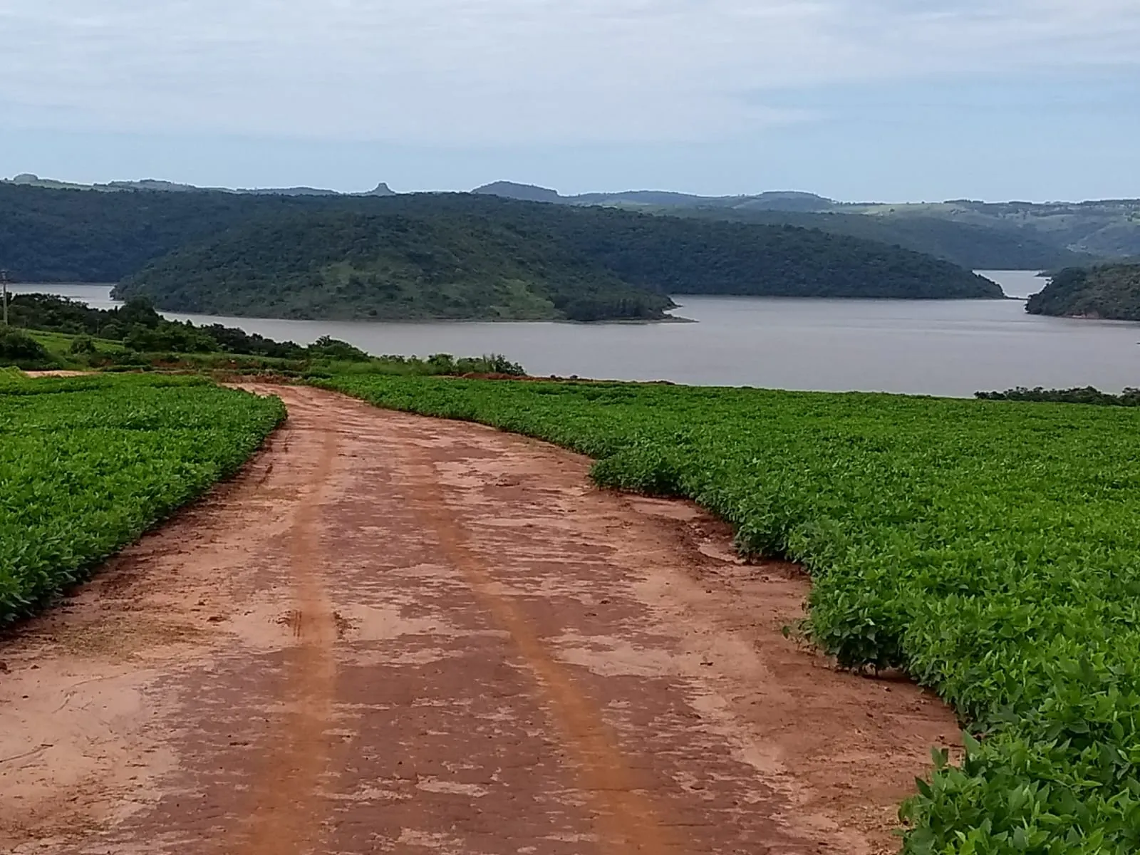 Ilha à venda de 61 ha em Timburi, SP, Brasil