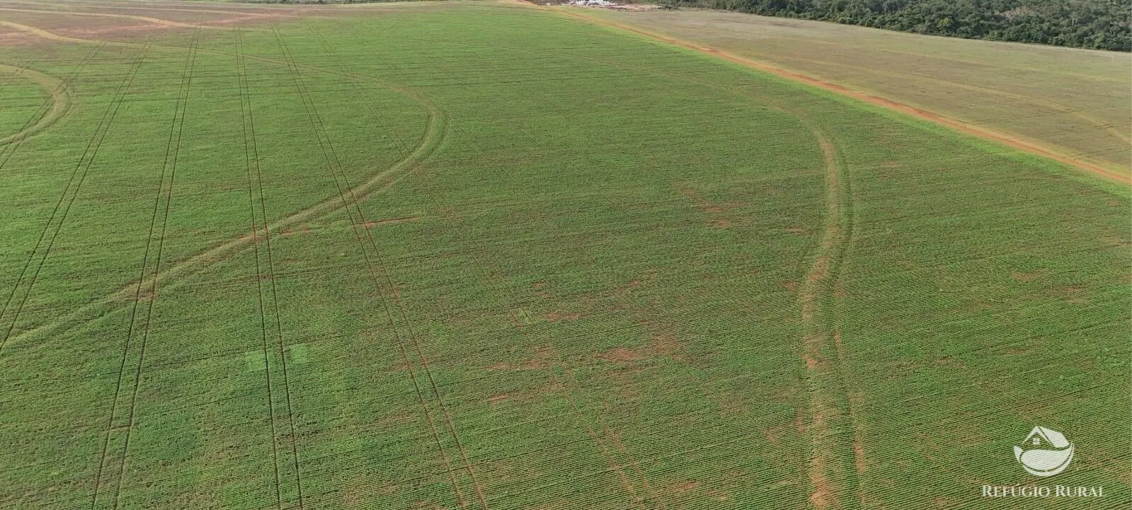 Fazenda à venda de 3.030 ha em Estreito, MA, Brasil
