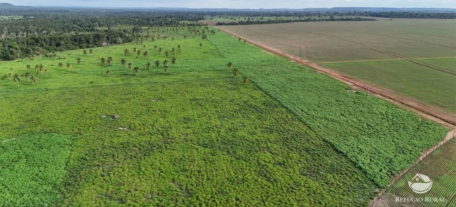 Fazenda à venda de 3.030 ha em Estreito, MA, Brasil