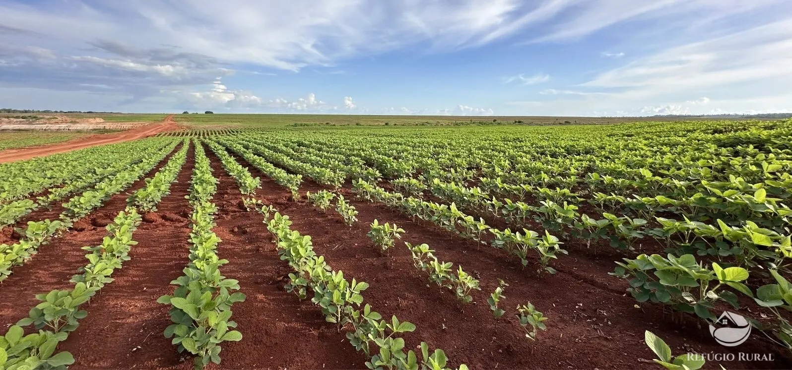 Fazenda à venda de 3.030 ha em Estreito, MA, Brasil