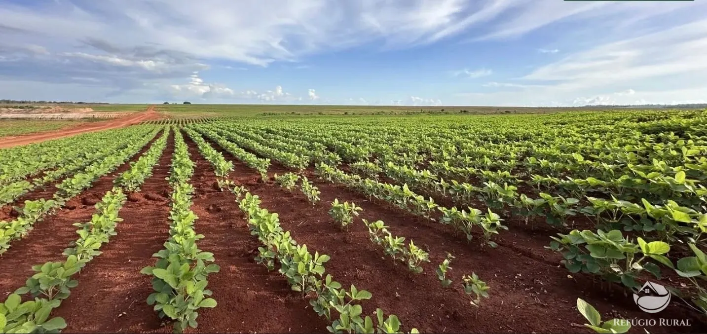 Fazenda à venda de 3.030 ha em Estreito, MA, Brasil