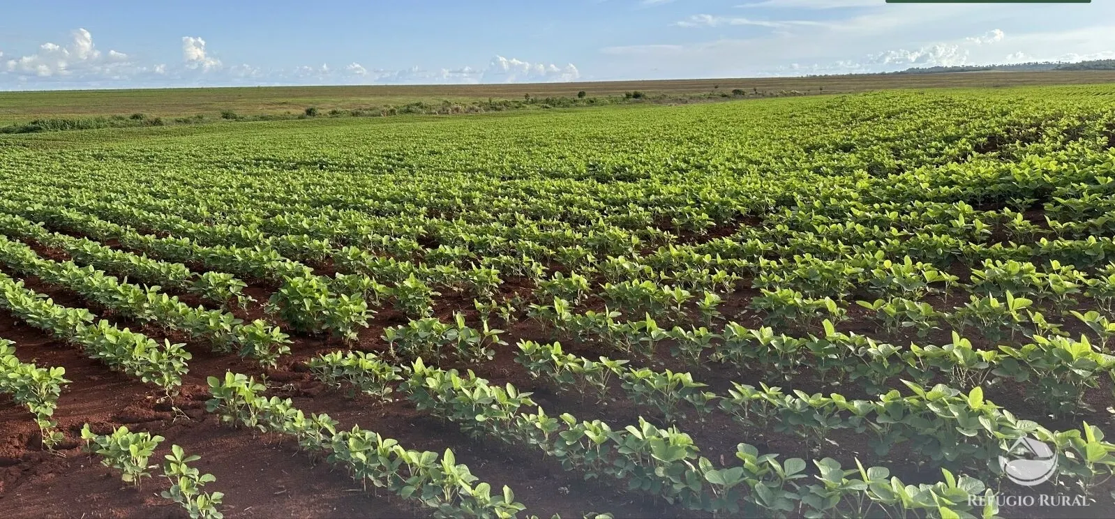 Fazenda à venda de 3.030 ha em Estreito, MA, Brasil