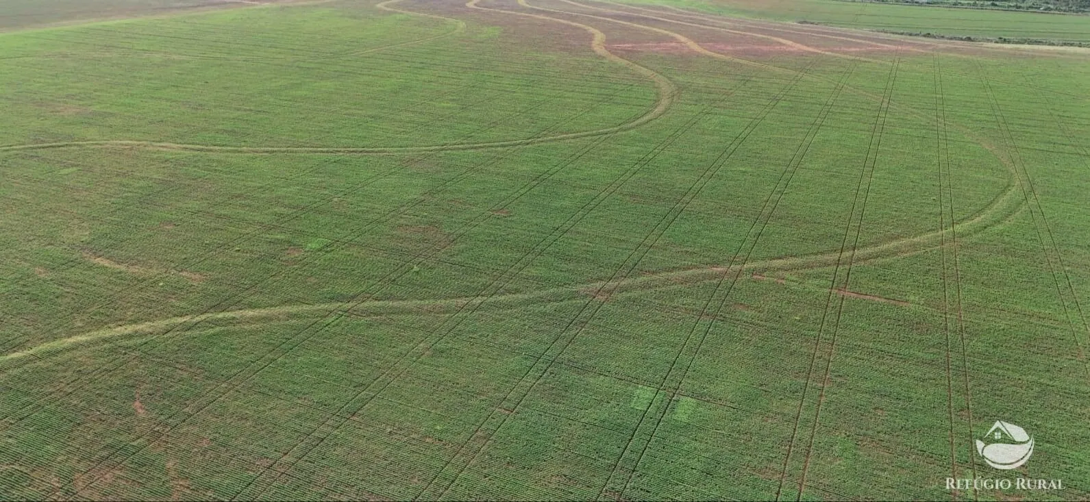 Fazenda à venda de 3.030 ha em Estreito, MA, Brasil