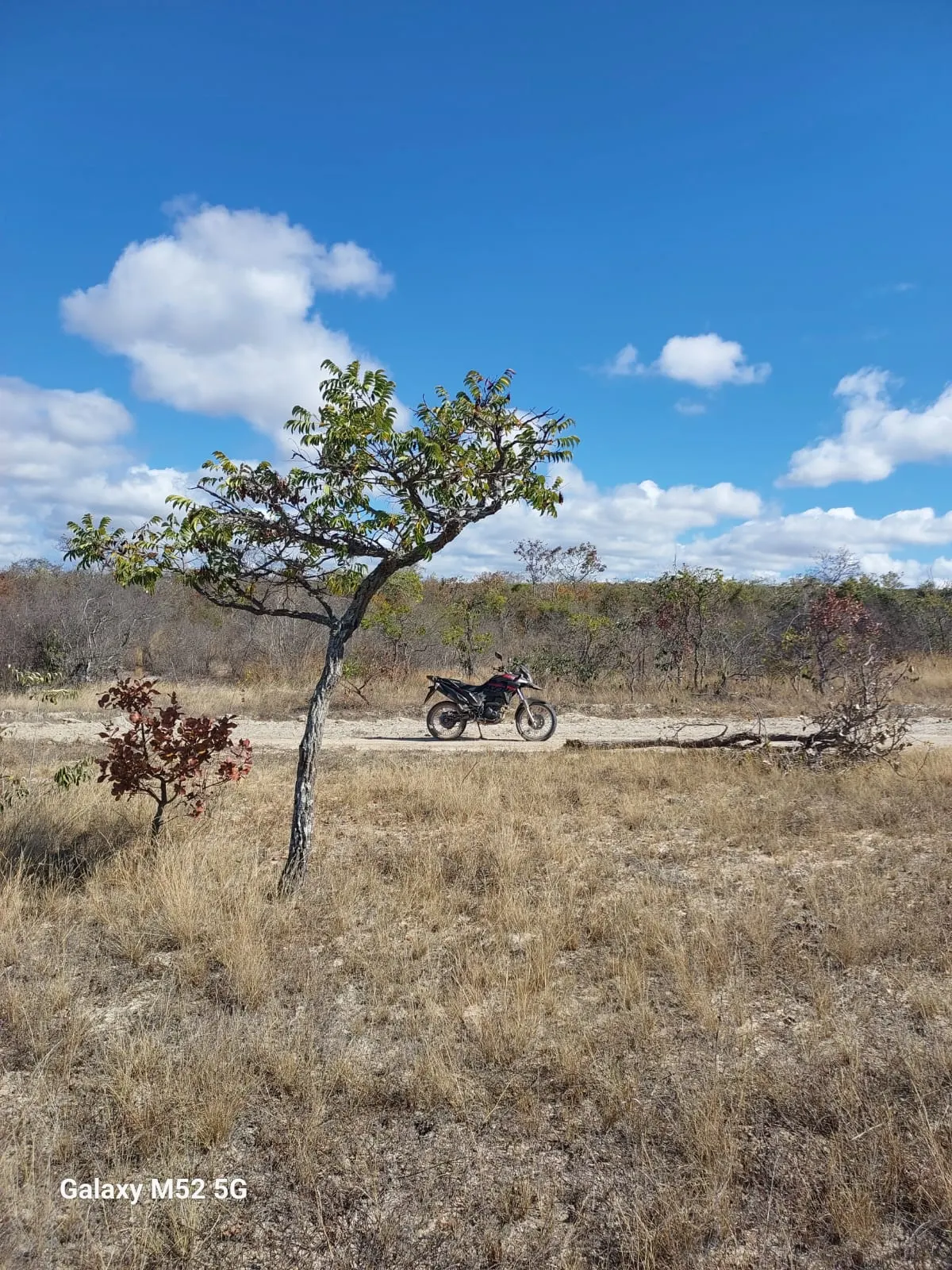 Fazenda à venda de 182 ha em Riacho dos Machados, MG, Brasil