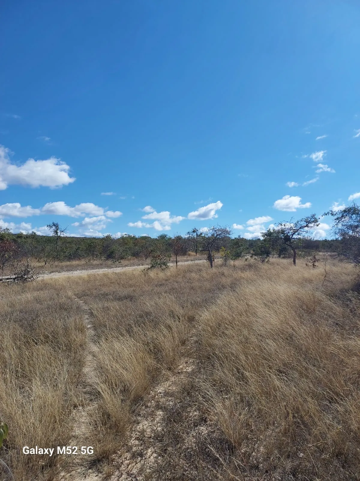 Fazenda à venda de 182 ha em Riacho dos Machados, MG, Brasil