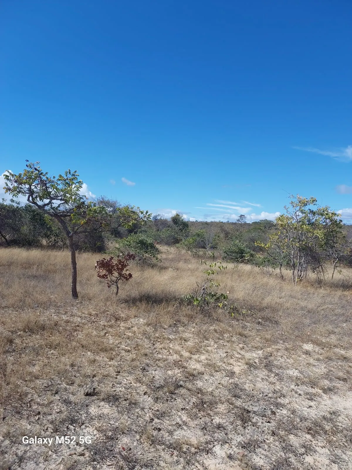 Fazenda à venda de 182 ha em Riacho dos Machados, MG, Brasil