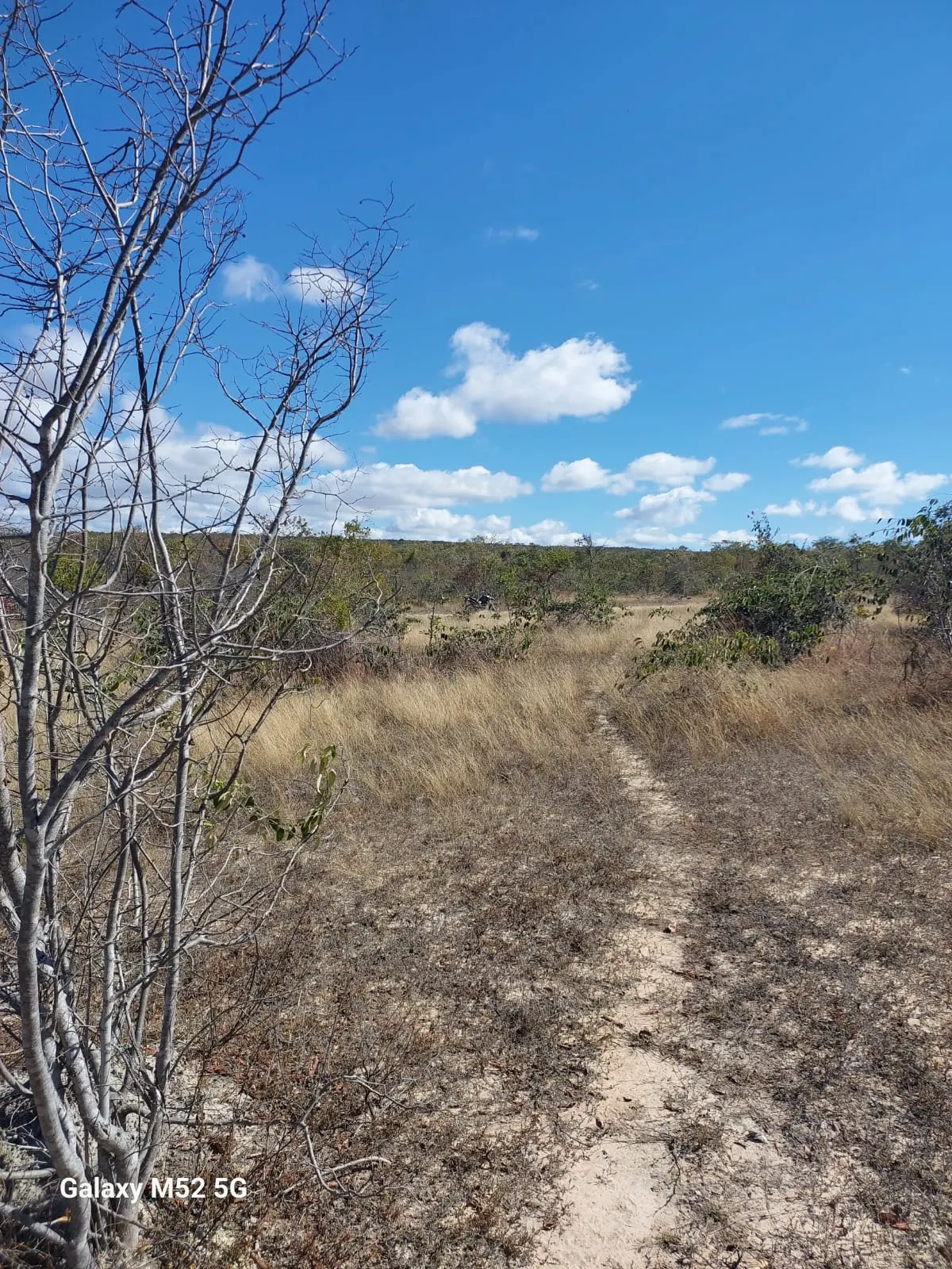 Fazenda à venda de 182 ha em Riacho dos Machados, MG, Brasil