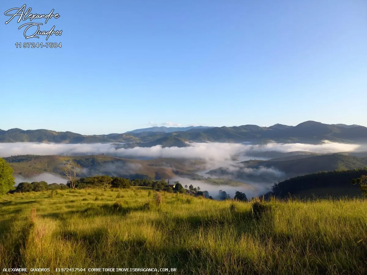 Small farm for sale of 91 acres in Piracaia, SP, Brazil