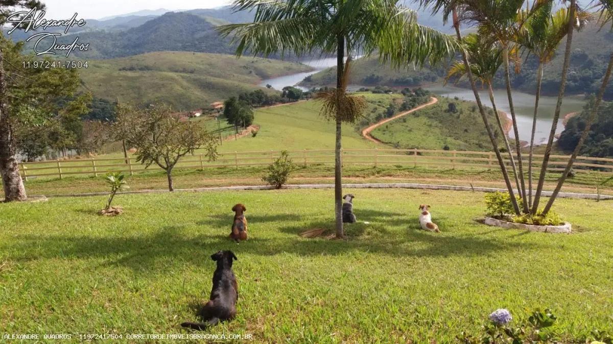Small farm for sale of 91 acres in Piracaia, SP, Brazil