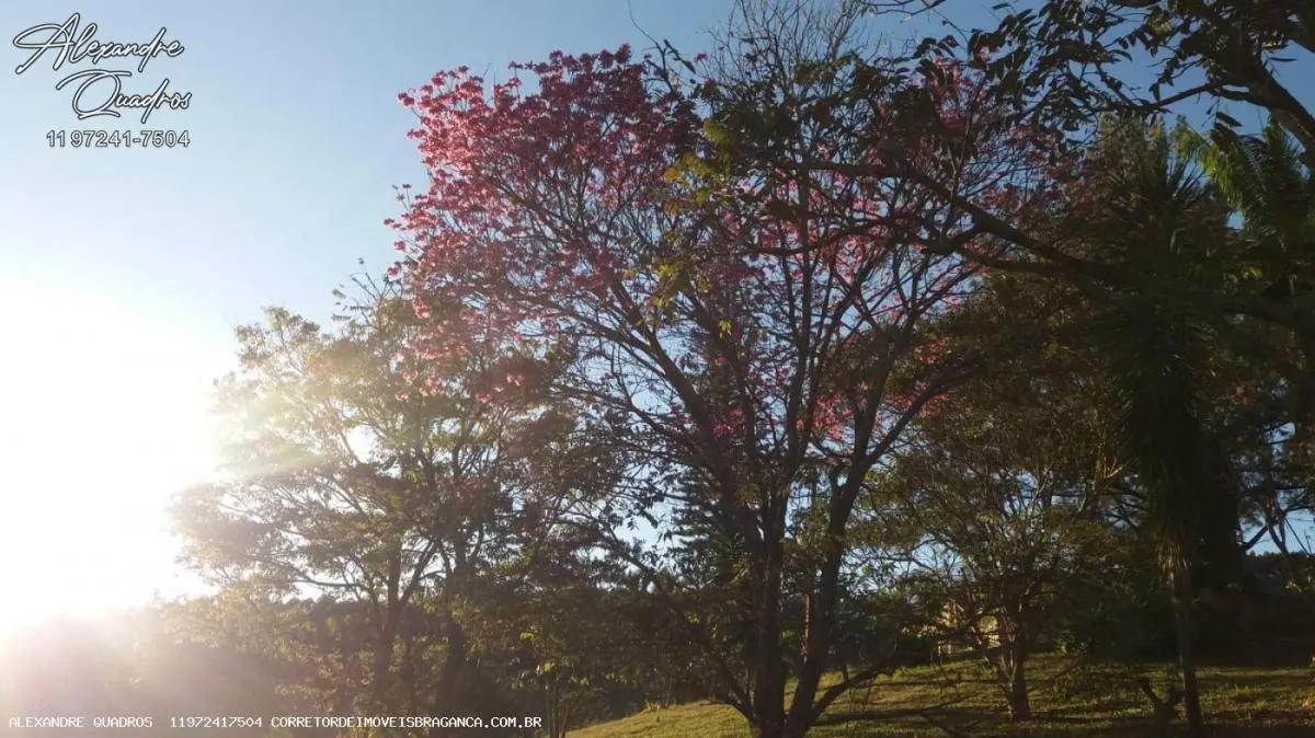 Small farm for sale of 91 acres in Piracaia, SP, Brazil