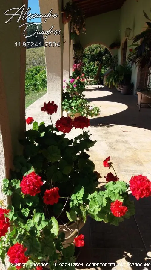 Small farm for sale of 91 acres in Piracaia, SP, Brazil