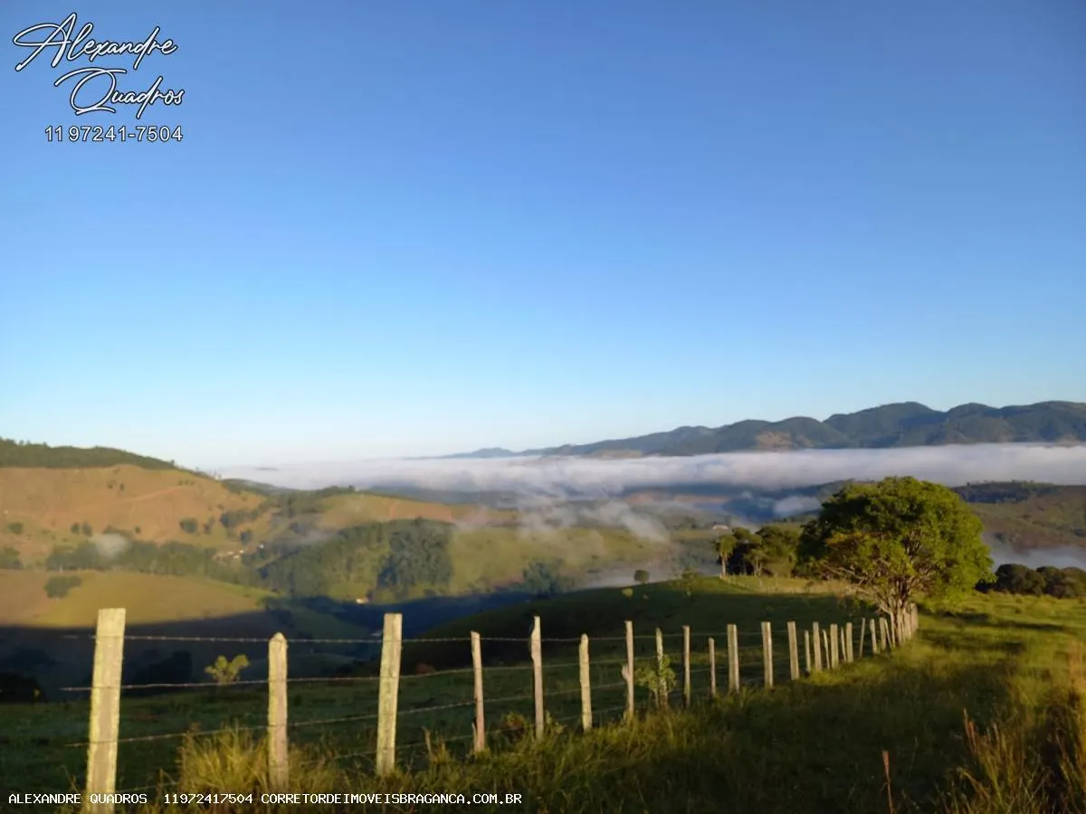 Small farm for sale of 91 acres in Piracaia, SP, Brazil