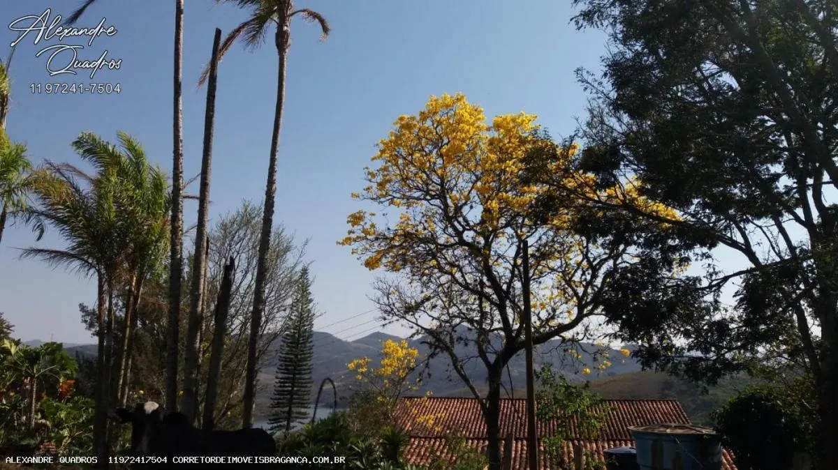 Small farm for sale of 91 acres in Piracaia, SP, Brazil