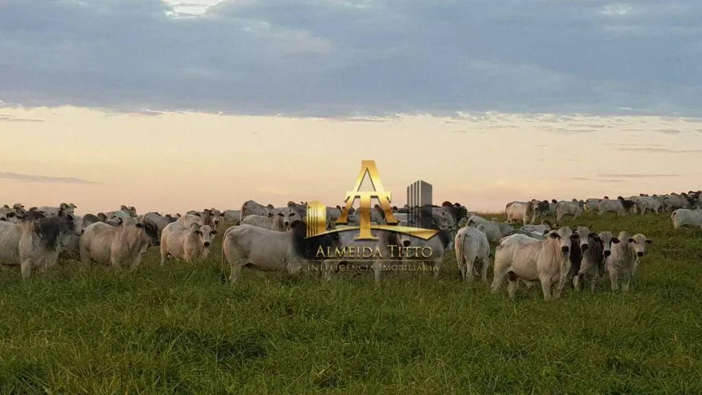 Fazenda à venda de 4.946 ha em Marília, SP, Brasil