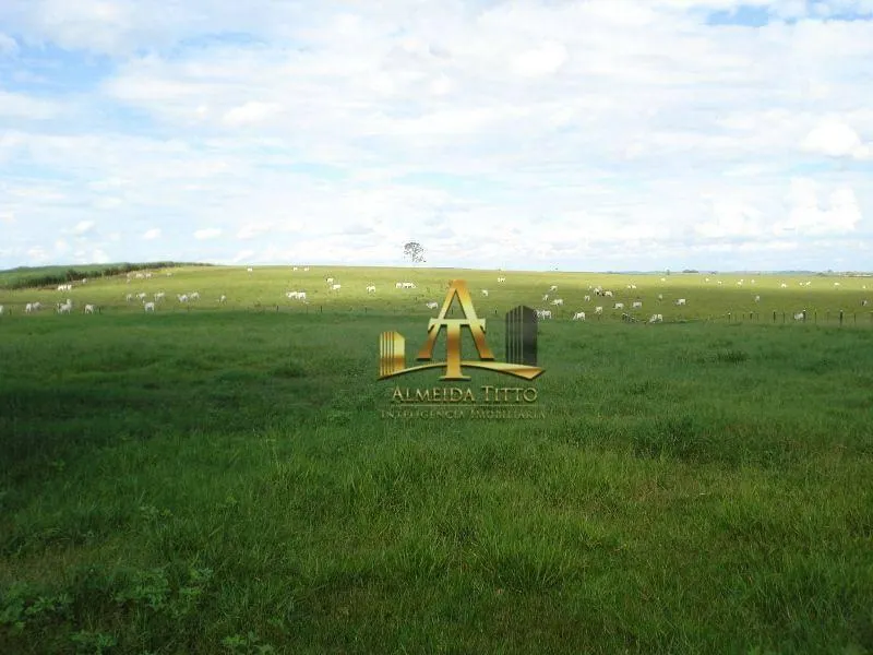Fazenda à venda de 4.946 ha em Marília, SP, Brasil