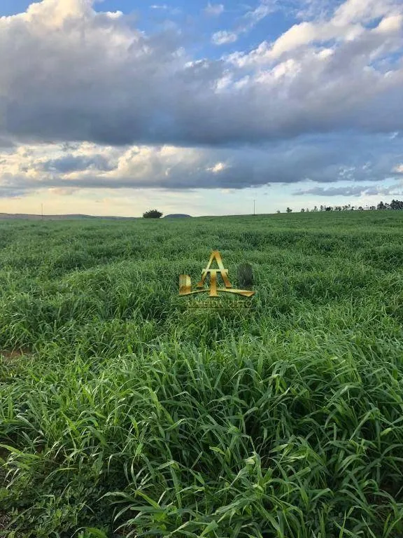 Fazenda à venda de 4.946 ha em Marília, SP, Brasil