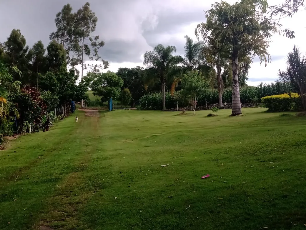 Sítio à venda de 15 ha em Angatuba, SP, Brasil