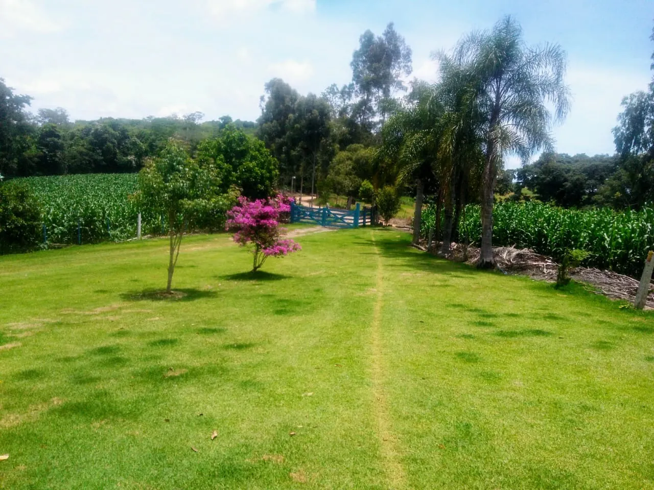 Sítio à venda de 15 ha em Angatuba, SP, Brasil