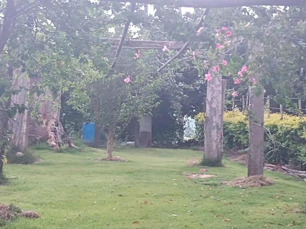 Sítio à venda de 15 ha em Angatuba, SP, Brasil