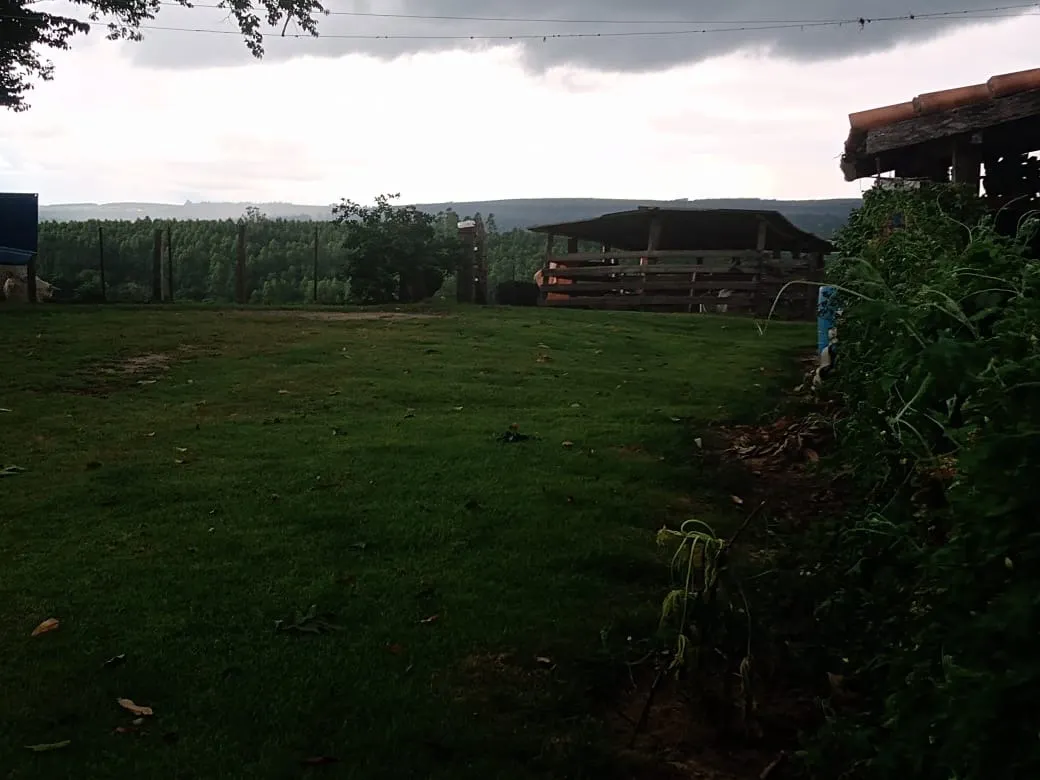 Sítio à venda de 15 ha em Angatuba, SP, Brasil