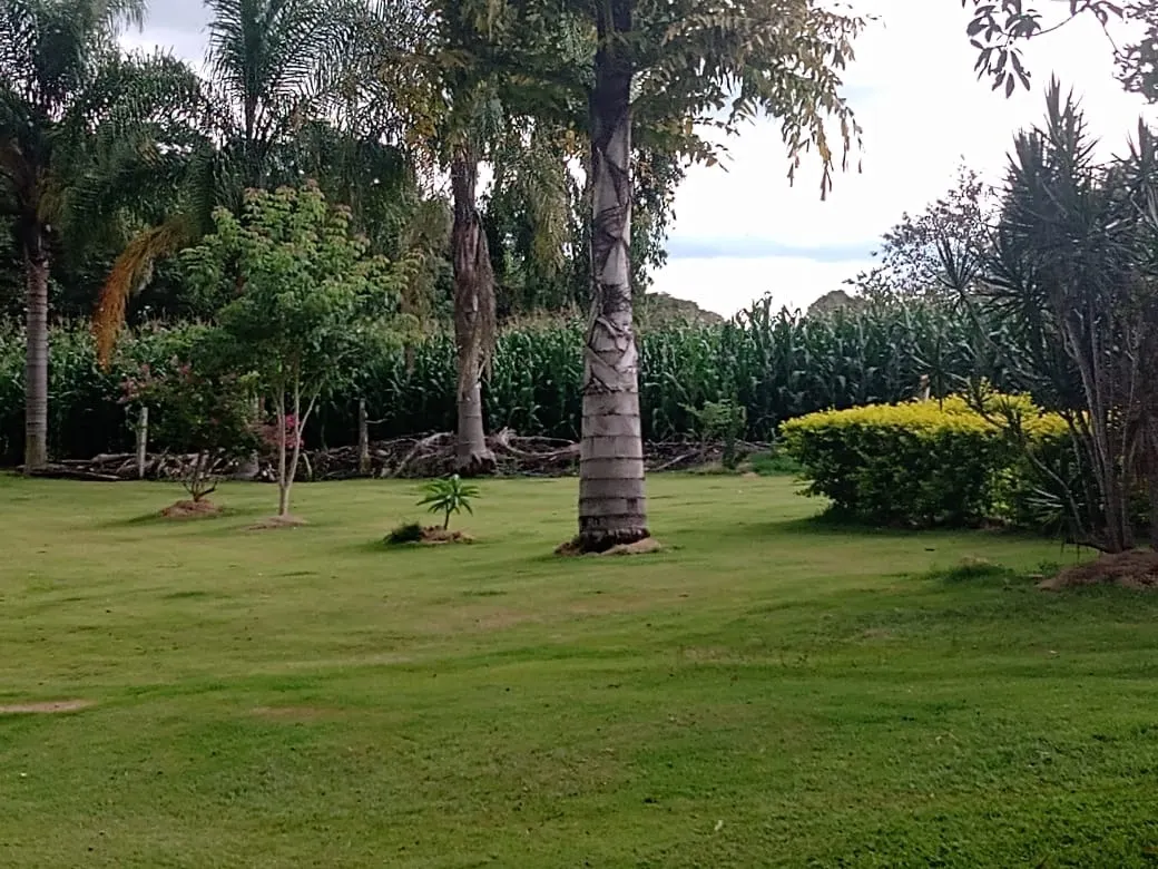 Sítio à venda de 15 ha em Angatuba, SP, Brasil