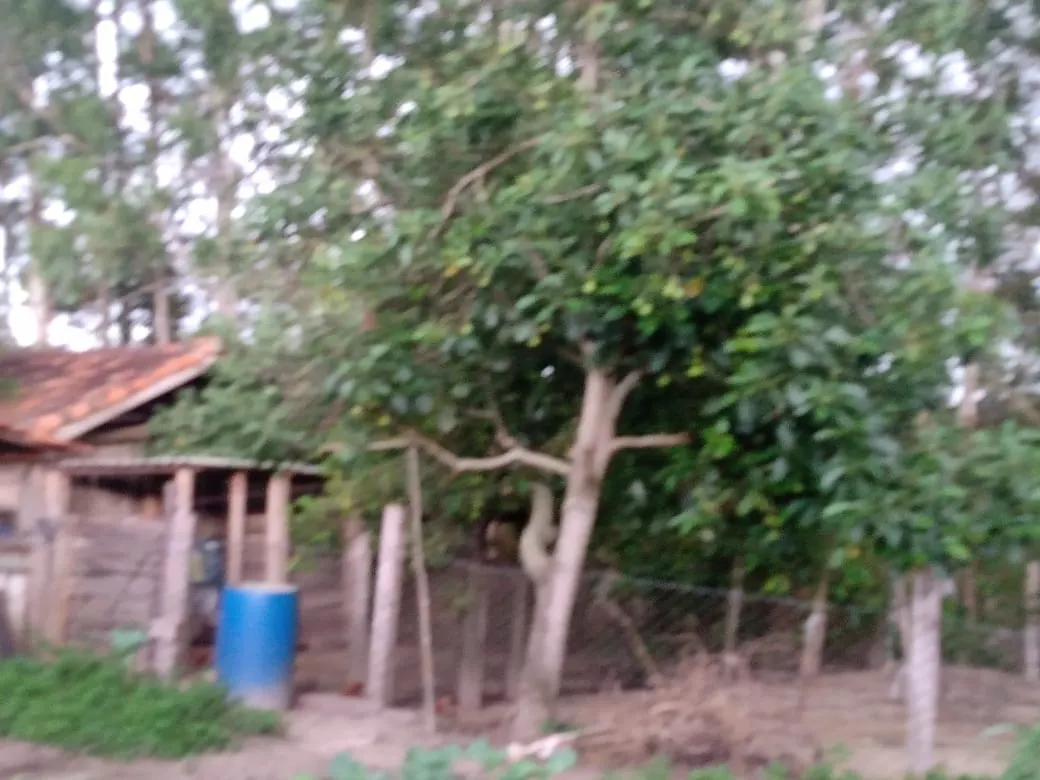 Sítio à venda de 15 ha em Angatuba, SP, Brasil