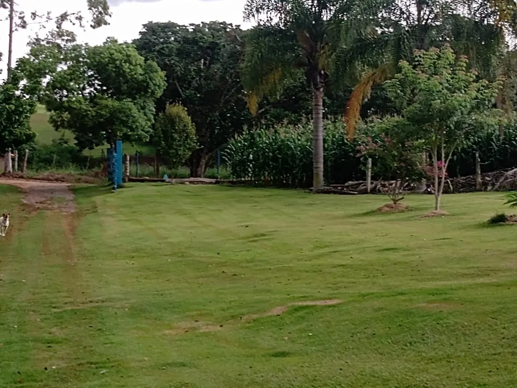 Sítio à venda de 15 ha em Angatuba, SP, Brasil