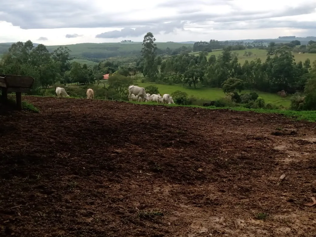Sítio à venda de 15 ha em Angatuba, SP, Brasil