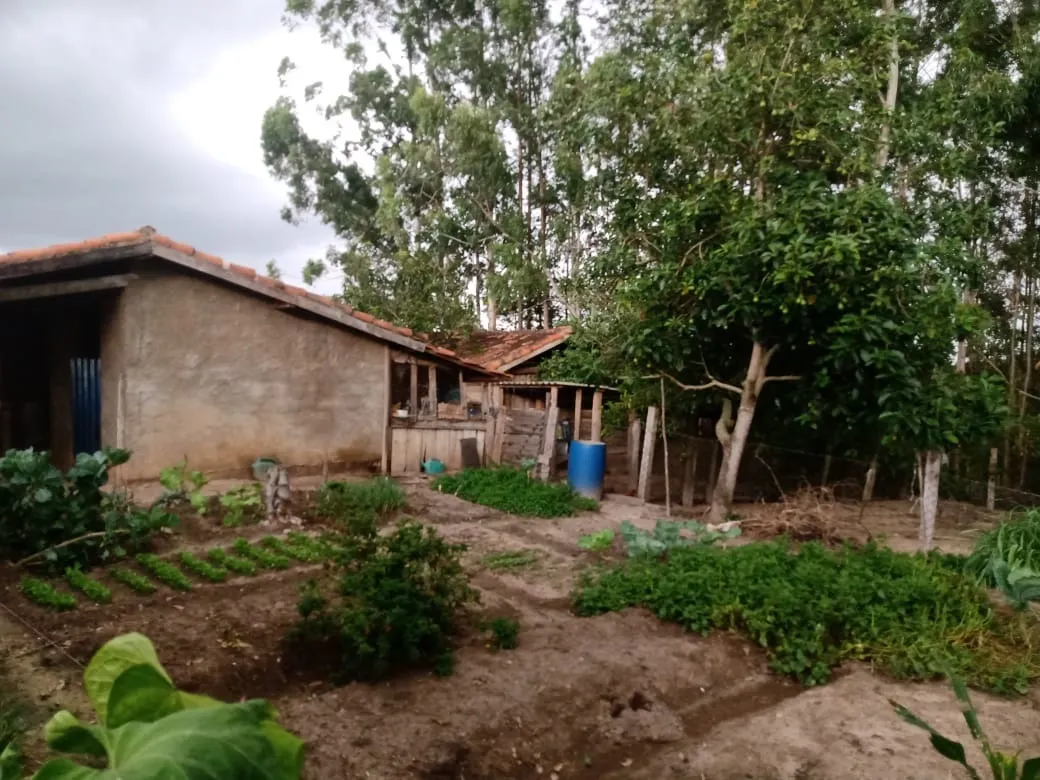 Sítio à venda de 15 ha em Angatuba, SP, Brasil