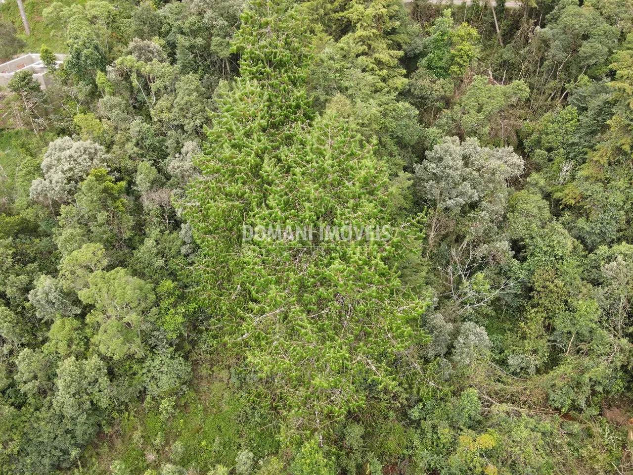 Terreno à venda de 1.260 m² em Campos do Jordão, SP, Brasil