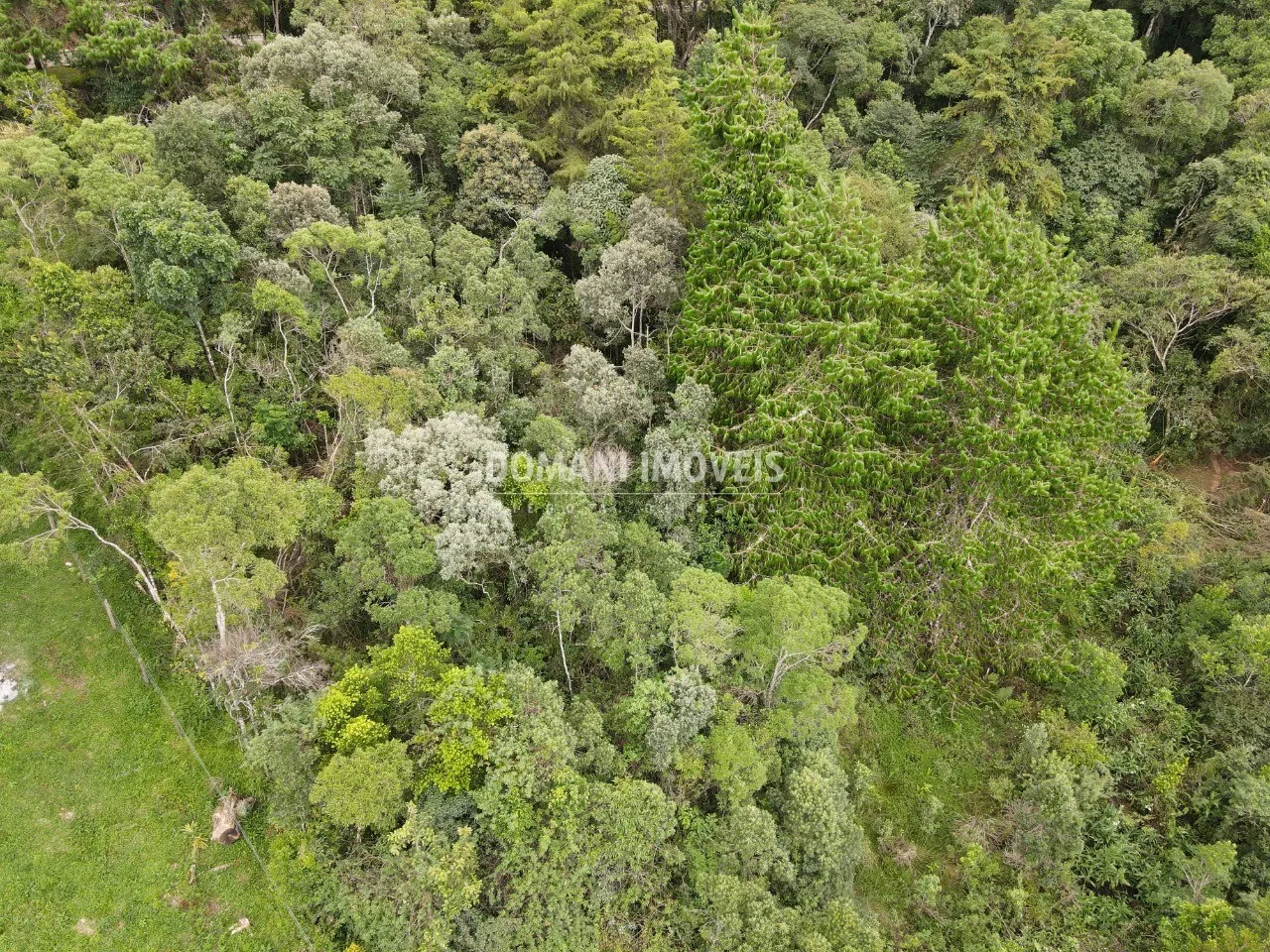 Terreno à venda de 1.260 m² em Campos do Jordão, SP, Brasil