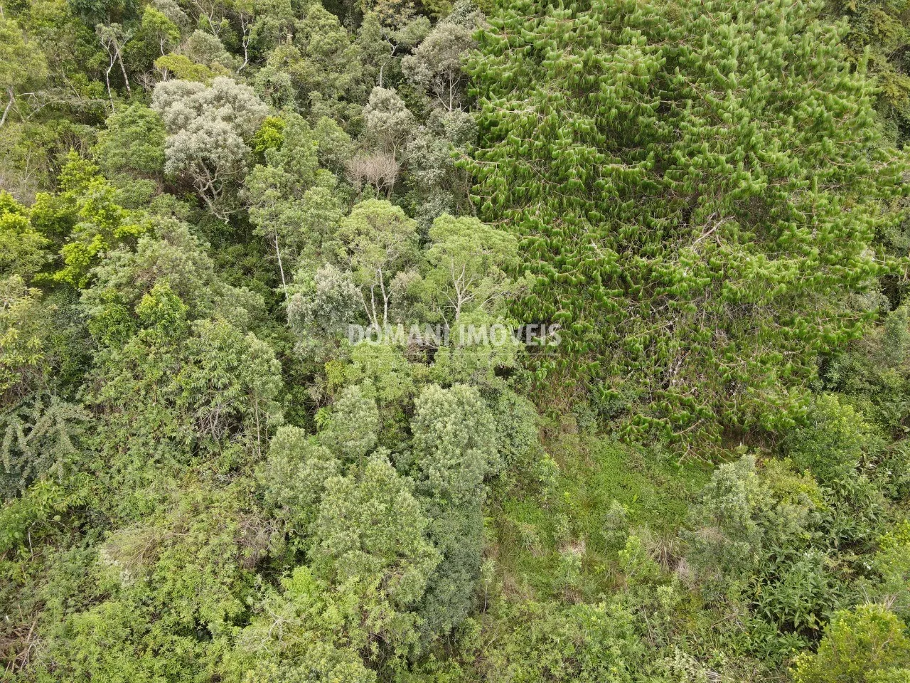 Terreno à venda de 1.260 m² em Campos do Jordão, SP, Brasil