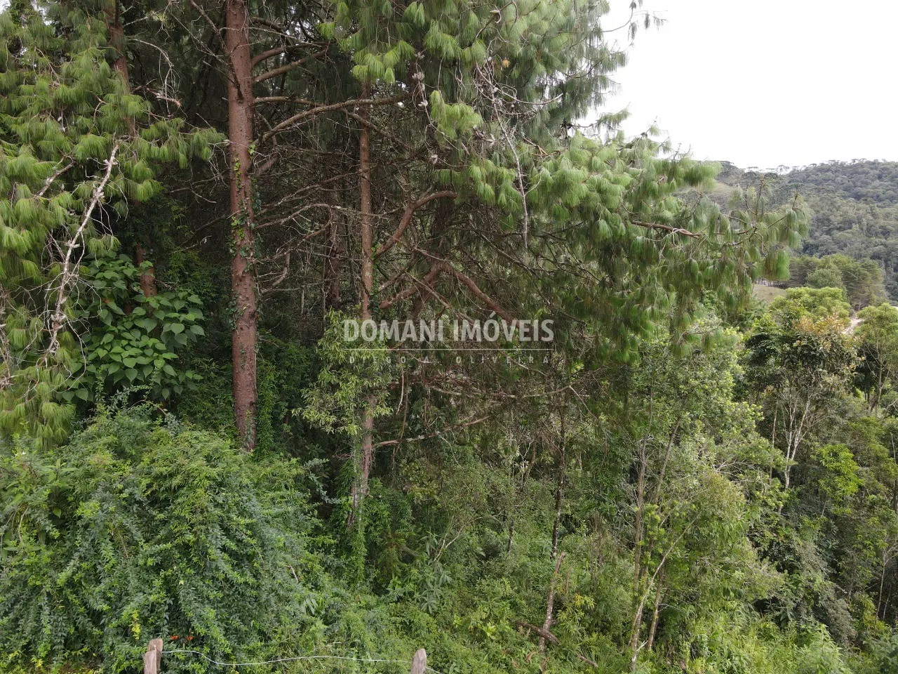 Terreno à venda de 1.260 m² em Campos do Jordão, SP, Brasil