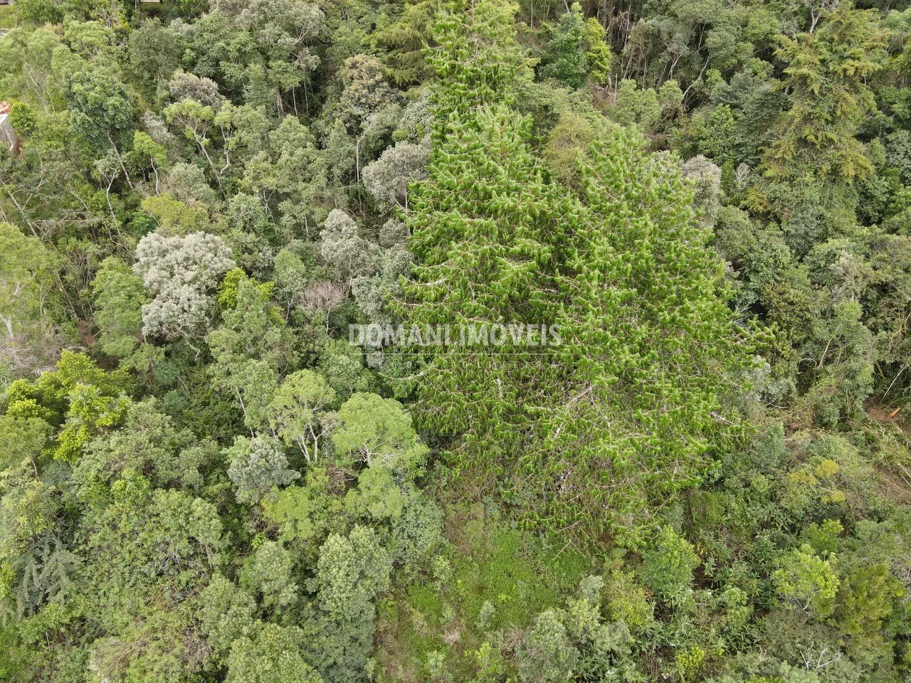 Terreno à venda de 1.260 m² em Campos do Jordão, SP, Brasil