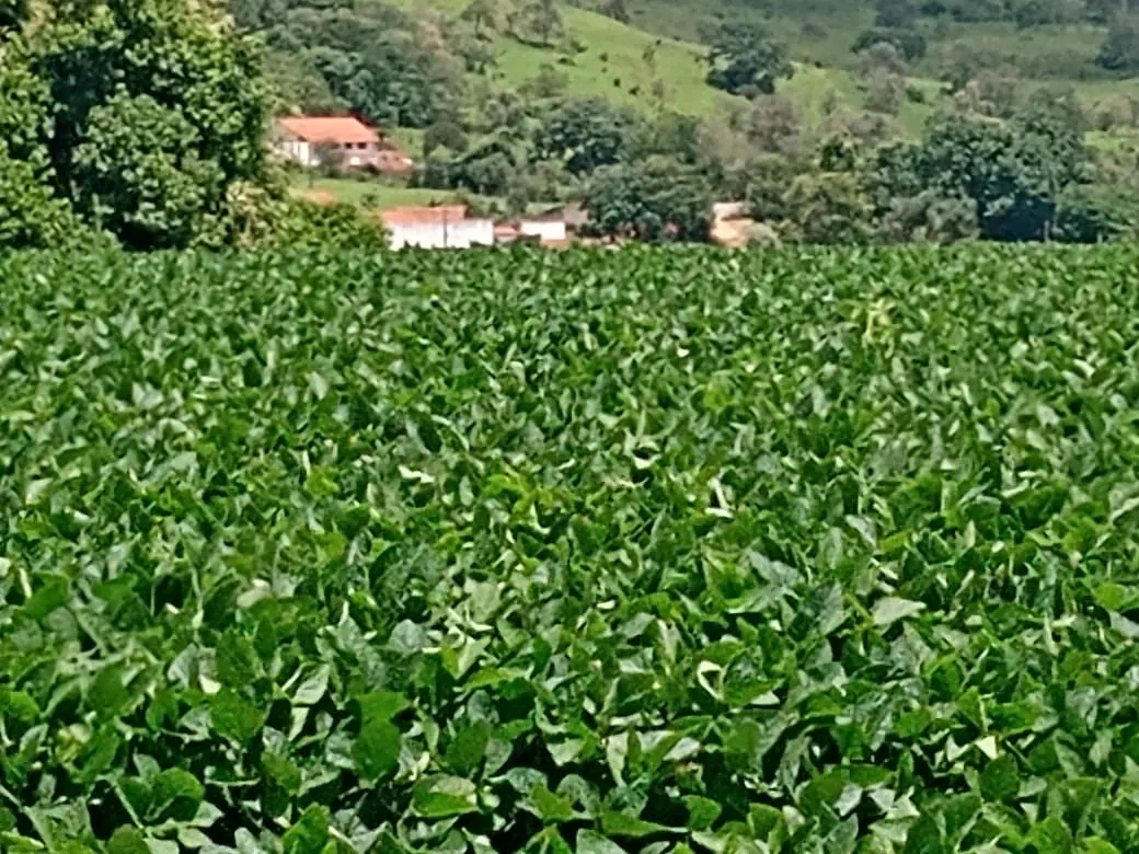 Sítio à venda de 31 ha em Angatuba, SP, Brasil