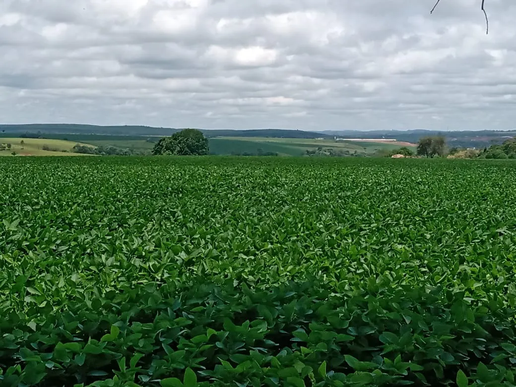 Sítio à venda de 31 ha em Angatuba, SP, Brasil
