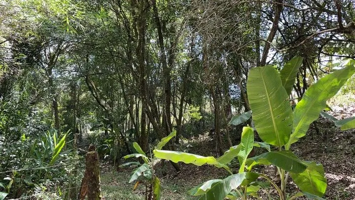 Plot for sale of 1,900 m² in Santo Antônio da Patrulha, RS, Brazil