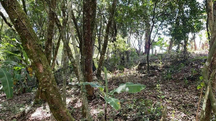 Plot for sale of 1,900 m² in Santo Antônio da Patrulha, RS, Brazil