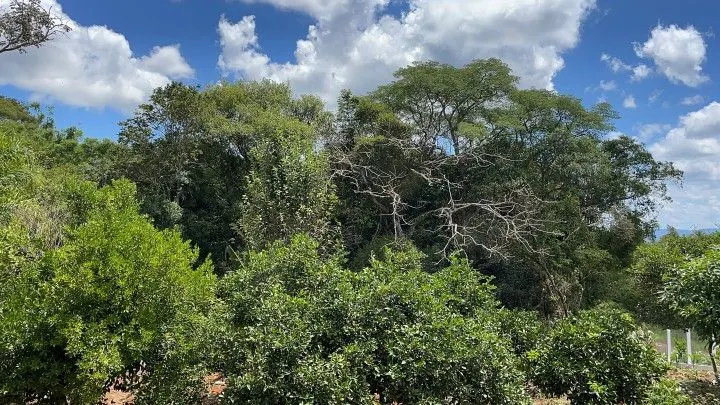 Plot for sale of 1,900 m² in Santo Antônio da Patrulha, RS, Brazil
