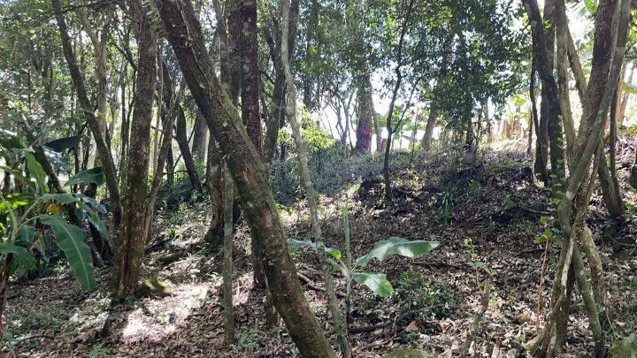Plot for sale of 1,900 m² in Santo Antônio da Patrulha, RS, Brazil