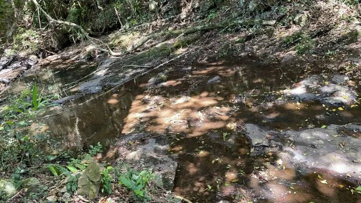 Plot for sale of 1,900 m² in Santo Antônio da Patrulha, RS, Brazil