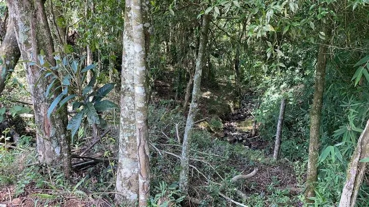 Plot for sale of 1,900 m² in Santo Antônio da Patrulha, RS, Brazil