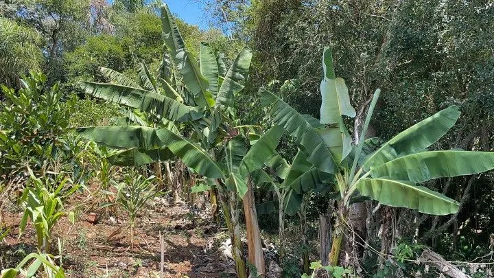Plot for sale of 1,900 m² in Santo Antônio da Patrulha, RS, Brazil