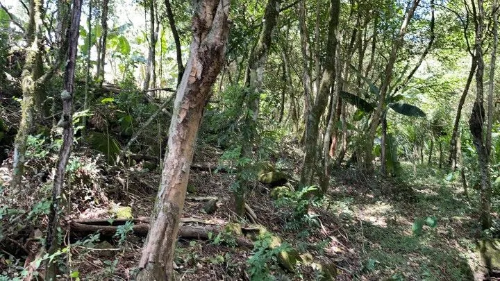 Plot for sale of 1,900 m² in Santo Antônio da Patrulha, RS, Brazil