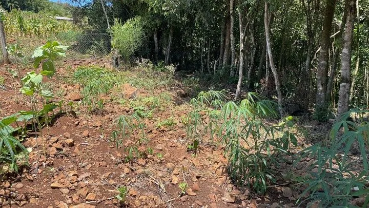 Plot for sale of 1,900 m² in Santo Antônio da Patrulha, RS, Brazil