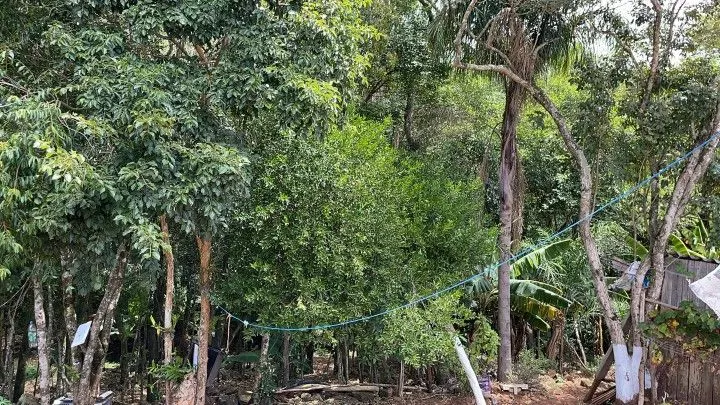 Plot for sale of 1,900 m² in Santo Antônio da Patrulha, RS, Brazil